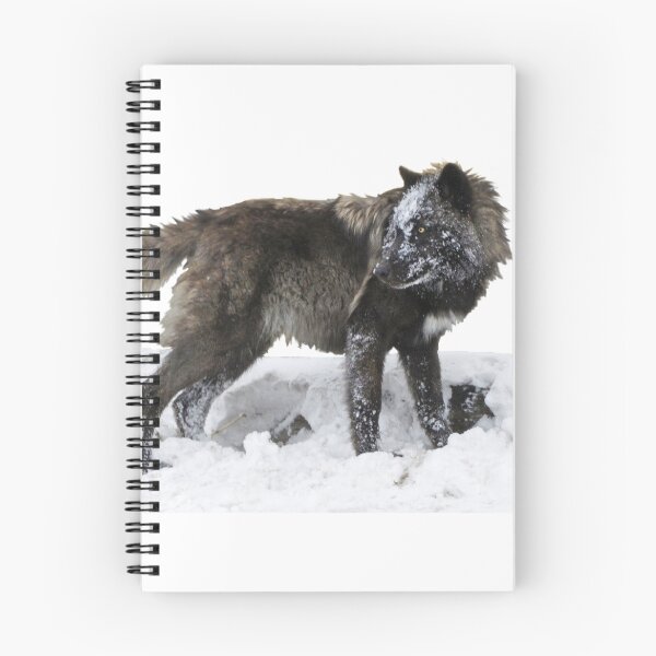 Item preview, Lord of the Winter (wht) designed and sold by mwroach.