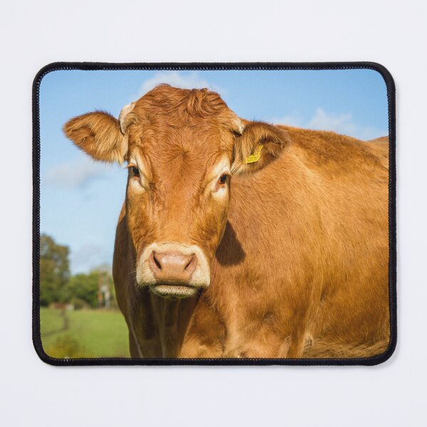 Vista previa del artículo con la obra «Vaca Limousin», diseñado y vendido por JStanley19.