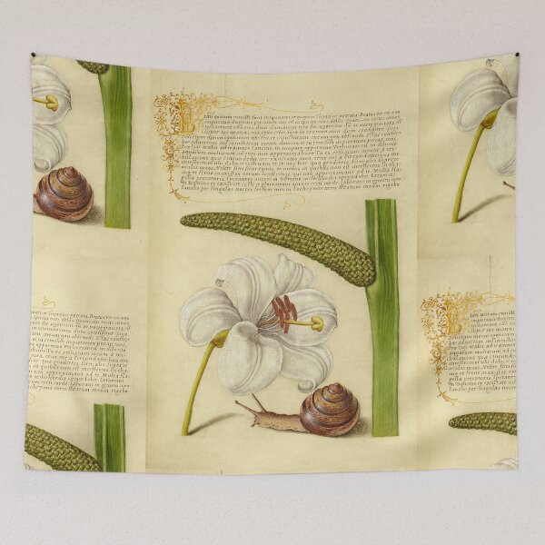 Item preview, Naturalist Manuscript: Flower, Snail, and Calligraphy Illumination by Joris Hoefnagel designed and sold by Naturalist Prints.