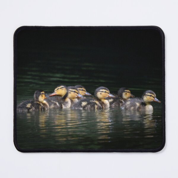 Item preview, Team Duckling designed and sold by ClaireChown.