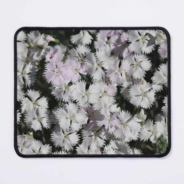 Item preview, Dianthus designed and sold by cuprum.