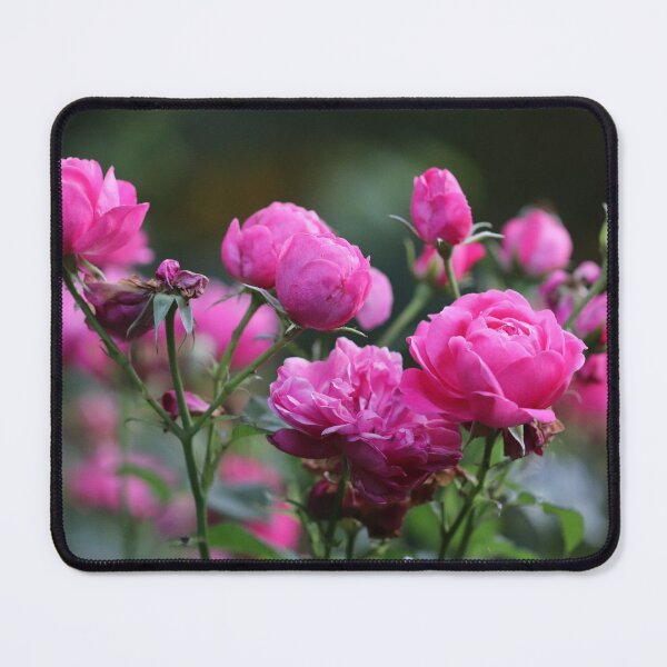 Item preview, The Sweet Smell of Summer designed and sold by cuprum.