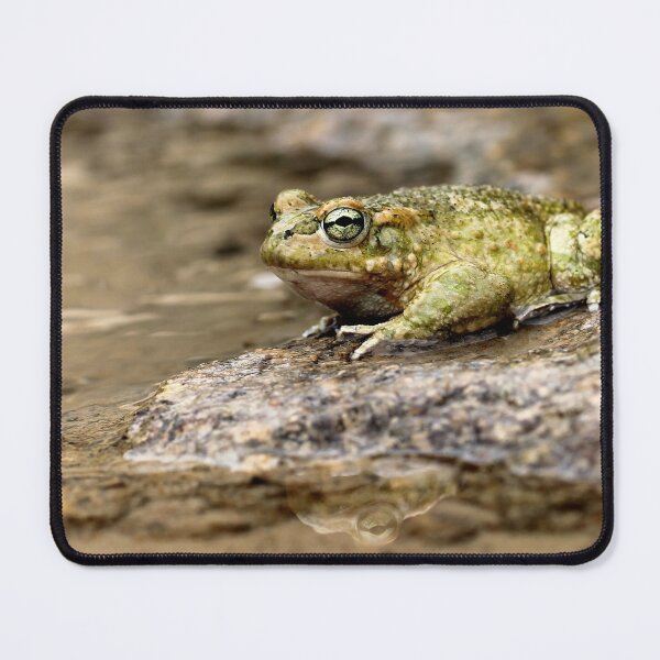 Item preview, Mr. Frog designed and sold by cuprum.