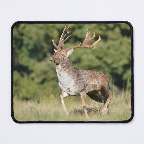 Item preview, Monarch of The Manor II designed and sold by ClaireChown.