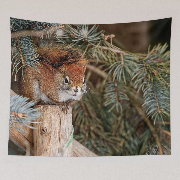 Item preview, Red Squirrel designed and sold by Michael Cummings.