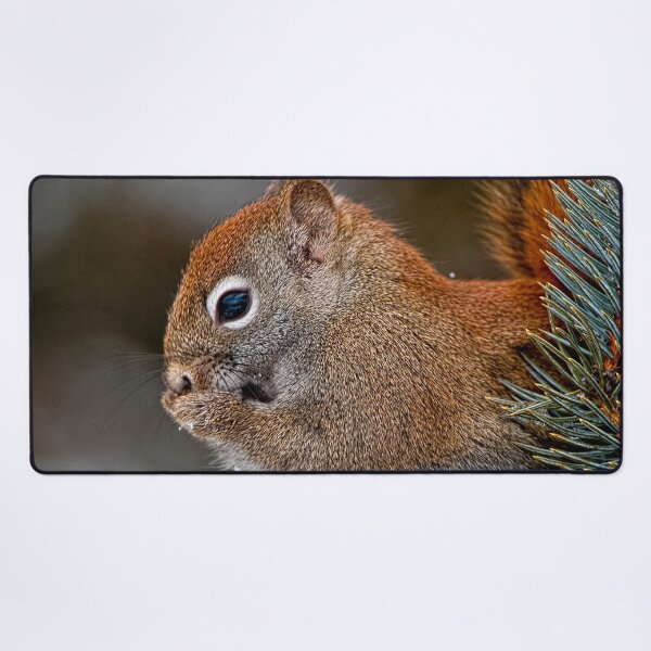 Item preview, Red Squirrel designed and sold by Michael Cummings.
