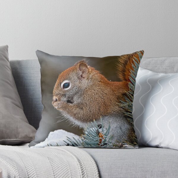 Item preview, Red Squirrel designed and sold by Michael Cummings.