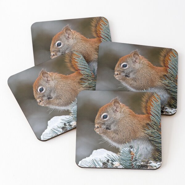 Item preview, Red Squirrel designed and sold by Michael Cummings.