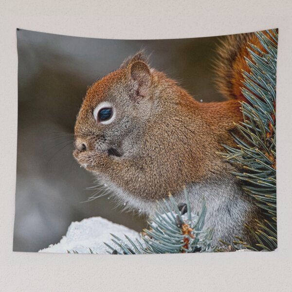 Item preview, Red Squirrel designed and sold by Michael Cummings.
