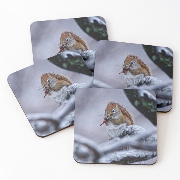 Item preview, Winter Squrrel designed and sold by Michael Cummings.