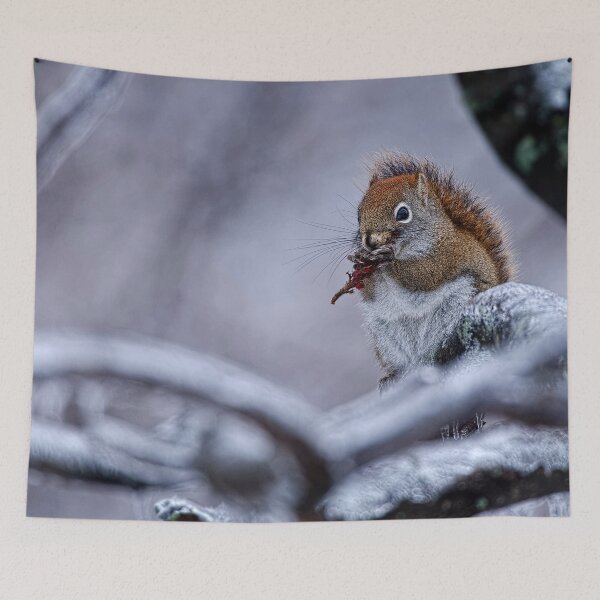 Item preview, Winter Squrrel designed and sold by Michael Cummings.
