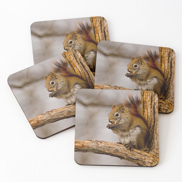 Item preview, Red Squirrel  designed and sold by Michael Cummings.