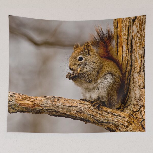 Item preview, Red Squirrel  designed and sold by Michael Cummings.