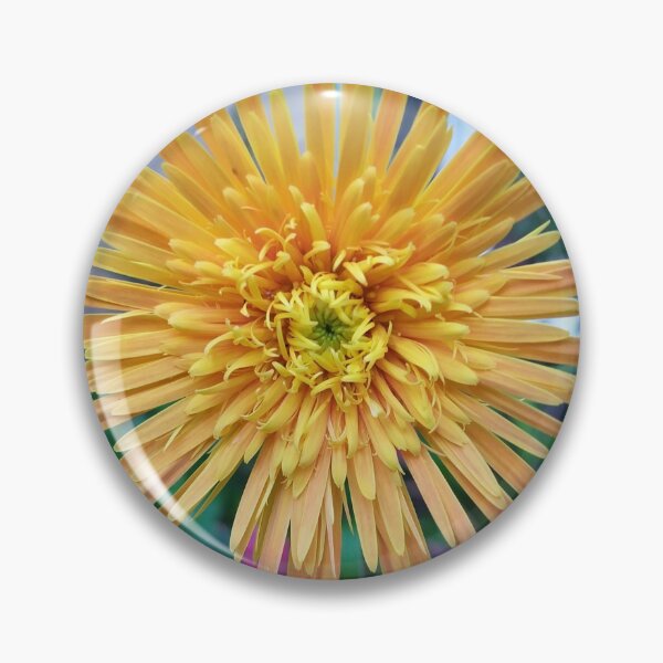 Item preview, Flower (Gerbera) Babandesiya flower  Photography designed and sold by Paint84.