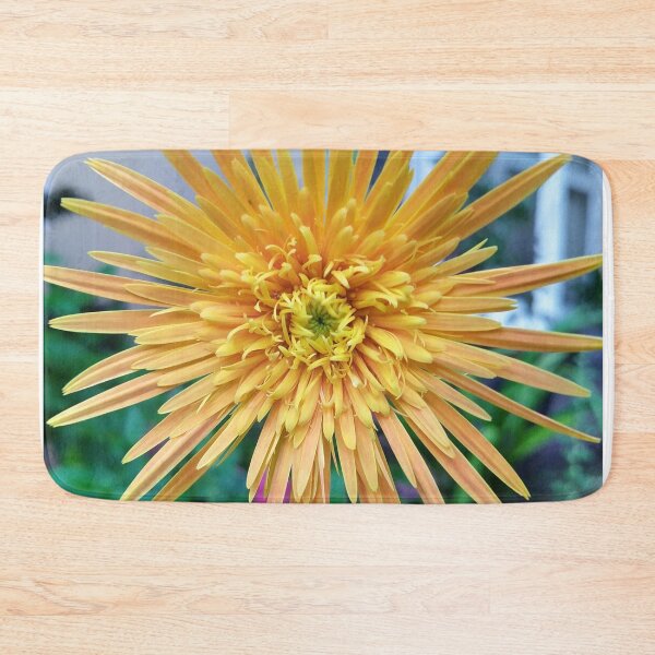 Item preview, Flower (Gerbera) Babandesiya flower  Photography designed and sold by Paint84.