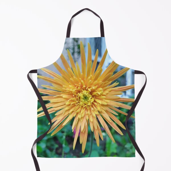 Item preview, Flower (Gerbera) Babandesiya flower Photography designed and sold by Paint84.