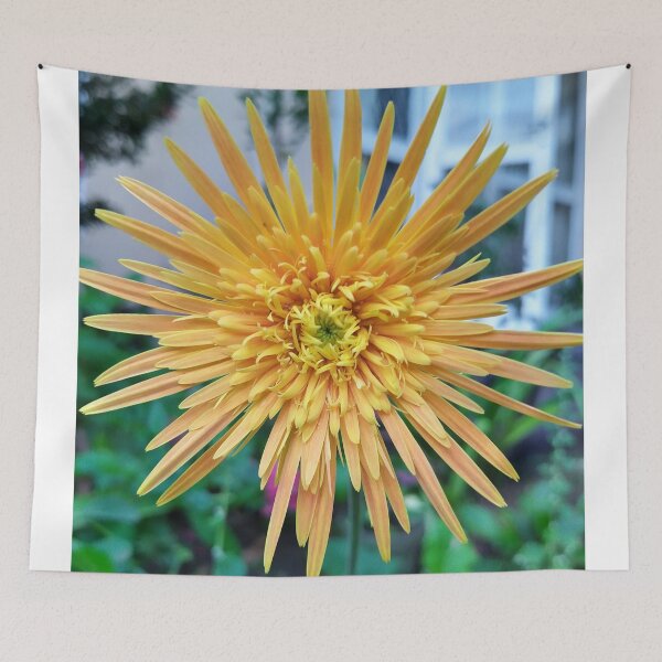 Item preview, Flower (Gerbera) Babandesiya flower  Photography designed and sold by Paint84.