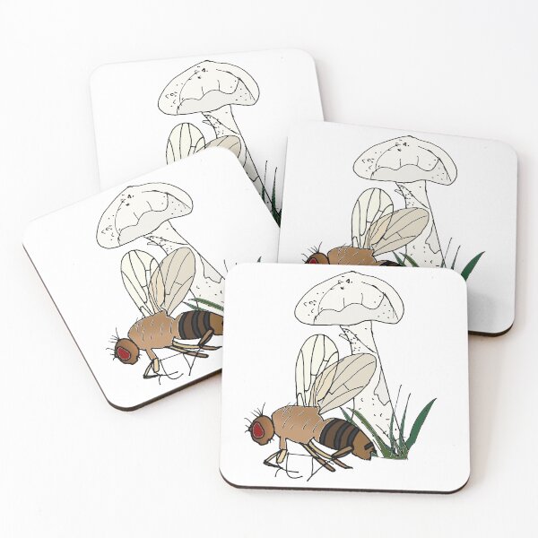 Item preview, Drosophila neotestacea with a mushroom designed and sold by KClay98.