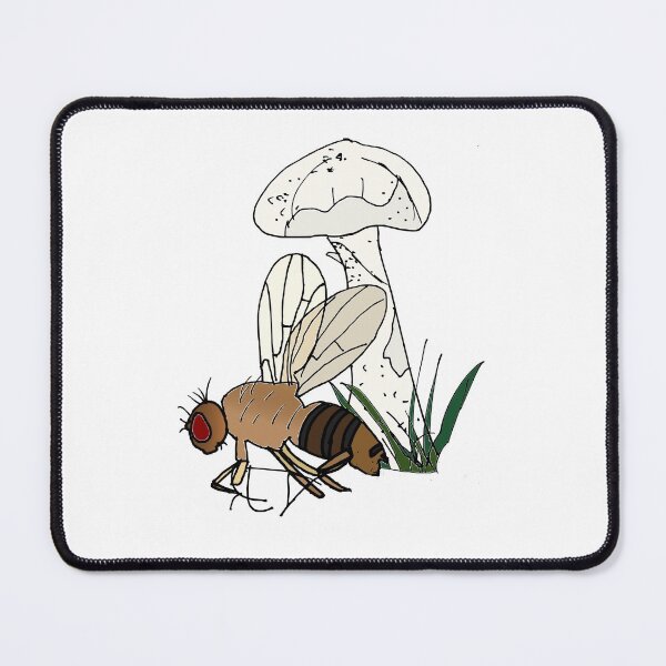Item preview, Drosophila neotestacea with a mushroom designed and sold by KClay98.