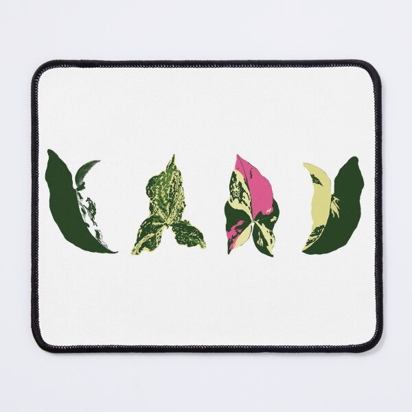 Item preview, Syngonium 4 Flatlay designed and sold by lu-lu.