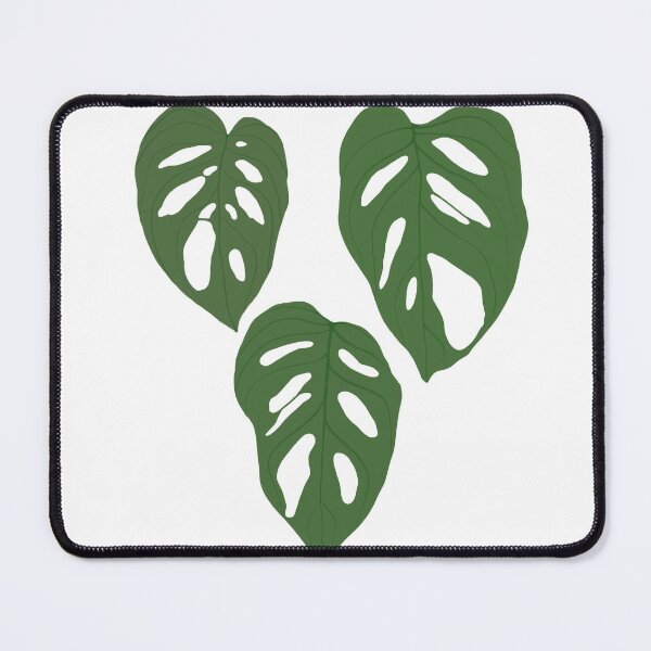 Item preview, Monstera adansonii 3 leaves  designed and sold by lu-lu.