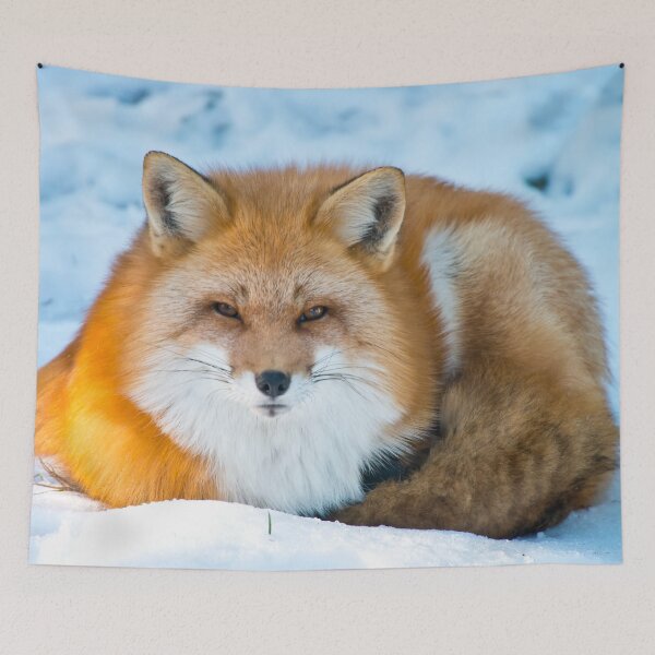 Item preview, Winter Red Fox designed and sold by Michael Cummings.