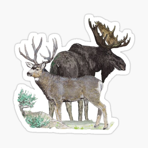 Deer Tracks, SVG, Tracks, Animal Prints, Whitetail Deer, Track Clipart,  Elk, Moose Tracks, Buffalo, Hunting, Camping -  Canada