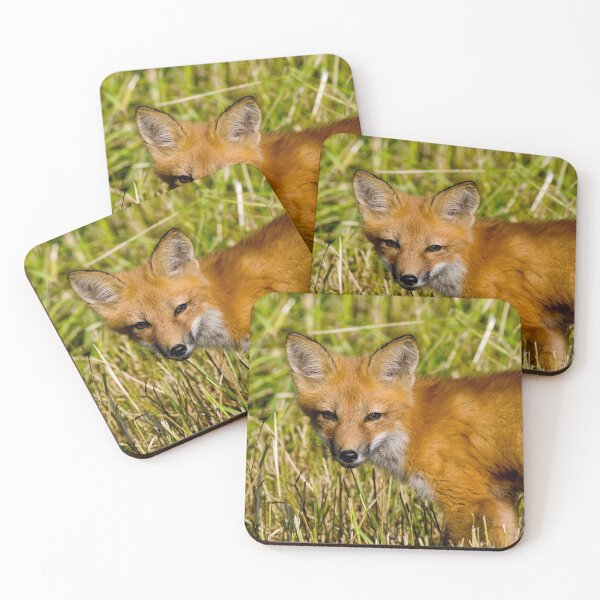 Item preview, Young Fox Kit designed and sold by Michael Cummings.