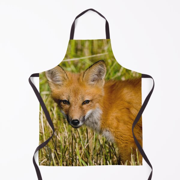 Item preview, Young Fox Kit designed and sold by Michael Cummings.