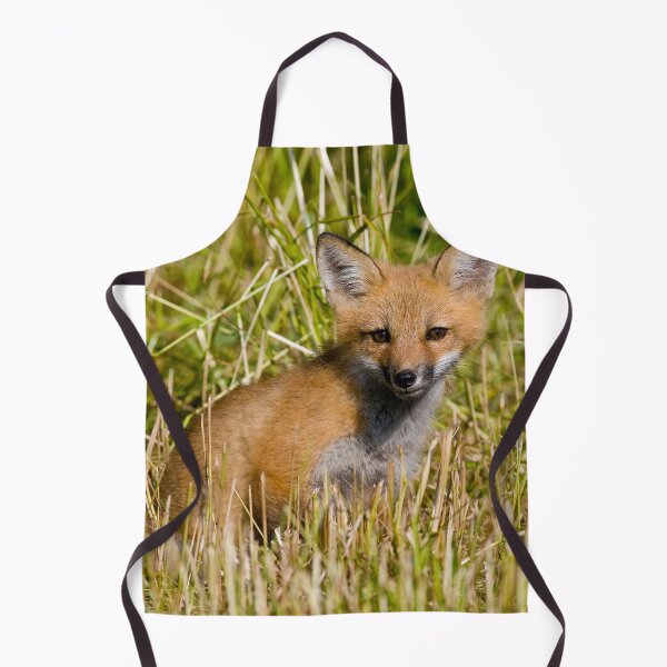 Item preview, Fox Kit designed and sold by Michael Cummings.