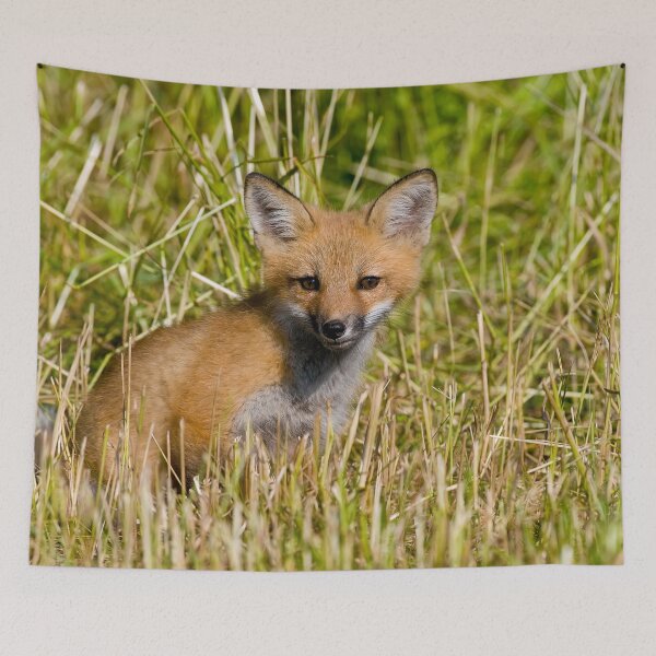 Item preview, Fox Kit designed and sold by Michael Cummings.