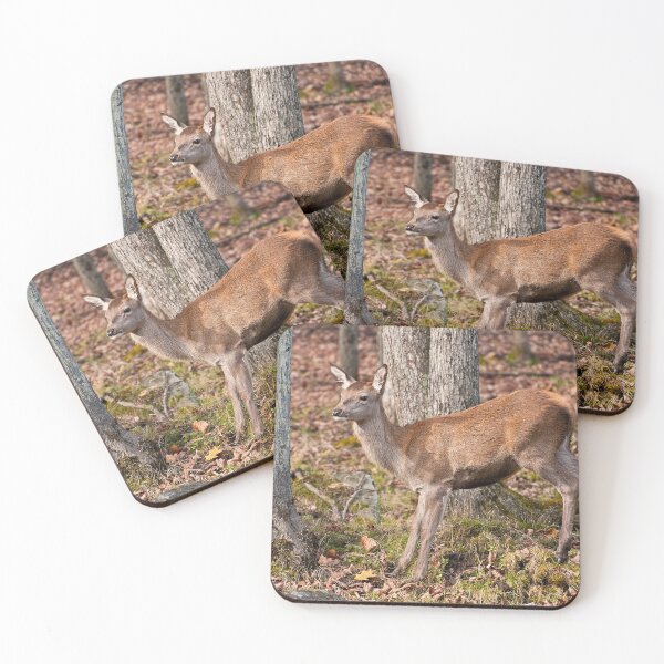 Item preview, Young Red Deer designed and sold by Michael Cummings.
