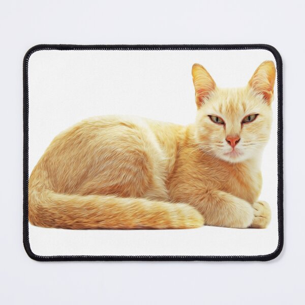 Item preview, SNOB YELLOW CAT designed and sold by D4NC1G3R.