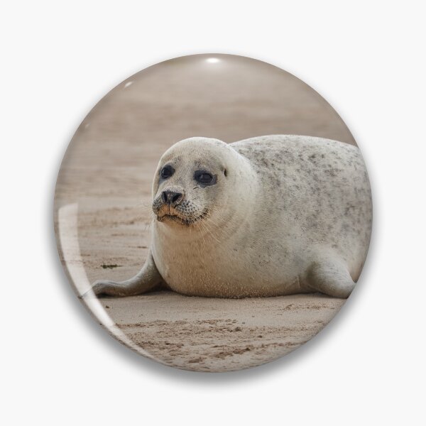 Item preview, White common seal (Phoca vitulina) pup designed and sold by Graham Prentice.