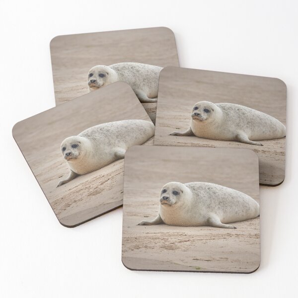 Item preview, White common seal (Phoca vitulina) pup designed and sold by Graham Prentice.