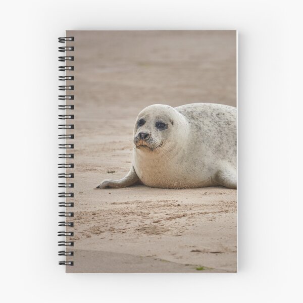 Item preview, White common seal (Phoca vitulina) pup designed and sold by Graham Prentice.