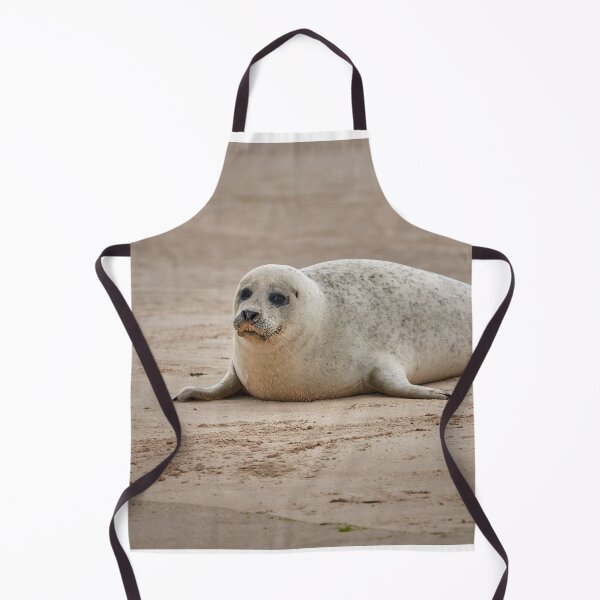 Item preview, White common seal (Phoca vitulina) pup designed and sold by Graham Prentice.