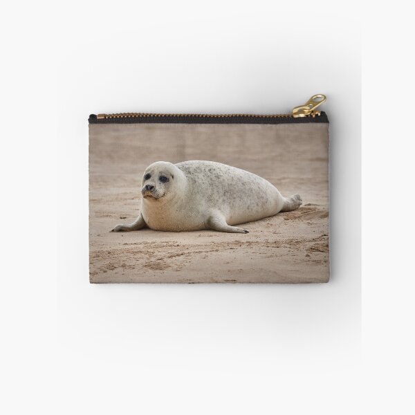 Item preview, White common seal (Phoca vitulina) pup designed and sold by Graham Prentice.