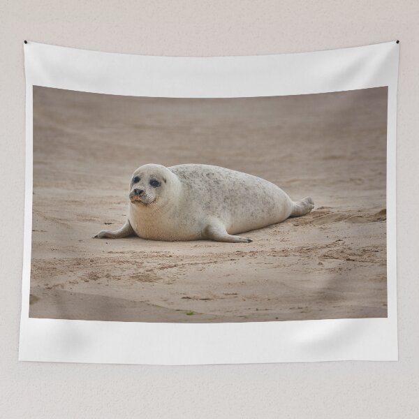Item preview, White common seal (Phoca vitulina) pup designed and sold by Graham Prentice.