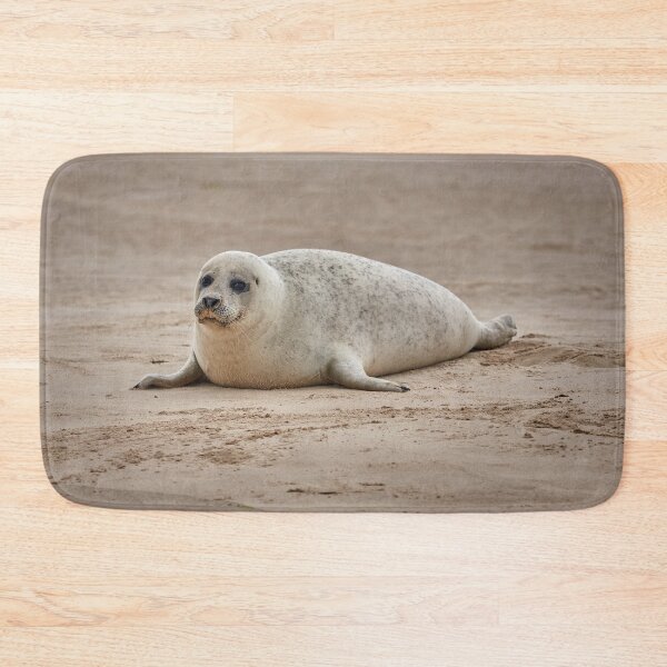 Item preview, White common seal (Phoca vitulina) pup designed and sold by Graham Prentice.