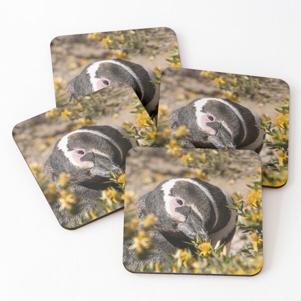 Item preview, Magellanic penguin sniffing flowers designed and sold by Vanina Isola.