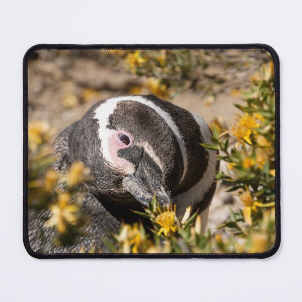 Item preview, Magellanic penguin sniffing flowers designed and sold by Vanina Isola.