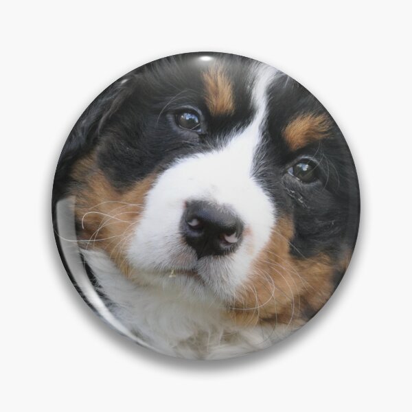 Item preview, Burnese Mountain Dogs For Dog Lovers As I Love My Bernese Dog - I Love My Bernese Dog designed and sold by lodarohit.
