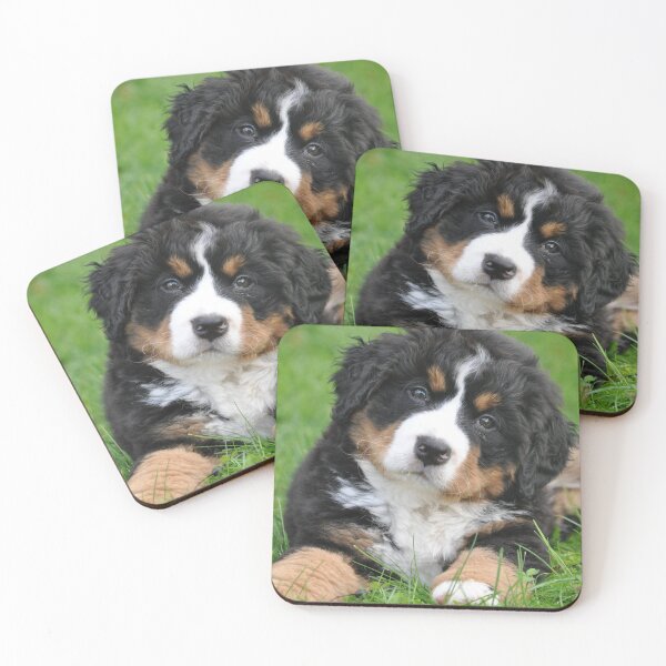 Item preview, Burnese Mountain Dogs For Dog Lovers As I Love My Bernese Dog - I Love My Bernese Dog designed and sold by lodarohit.