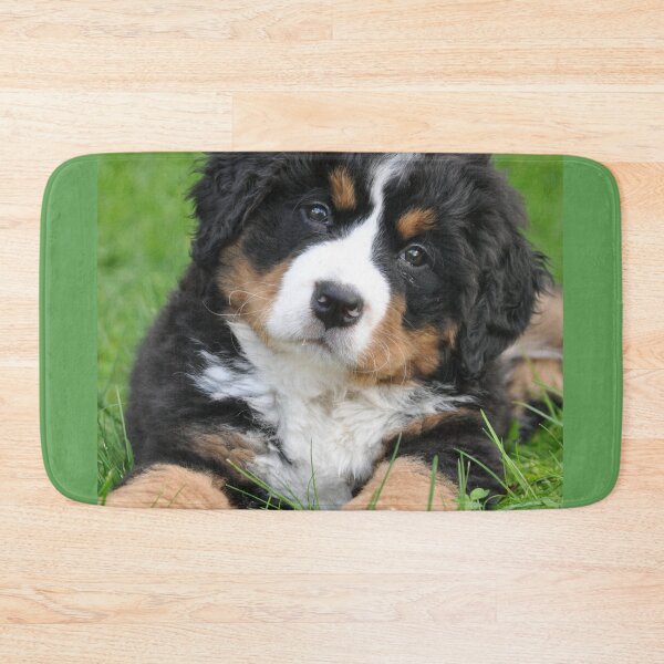 Item preview, Burnese Mountain Dogs For Dog Lovers As I Love My Bernese Dog - I Love My Bernese Dog designed and sold by lodarohit.