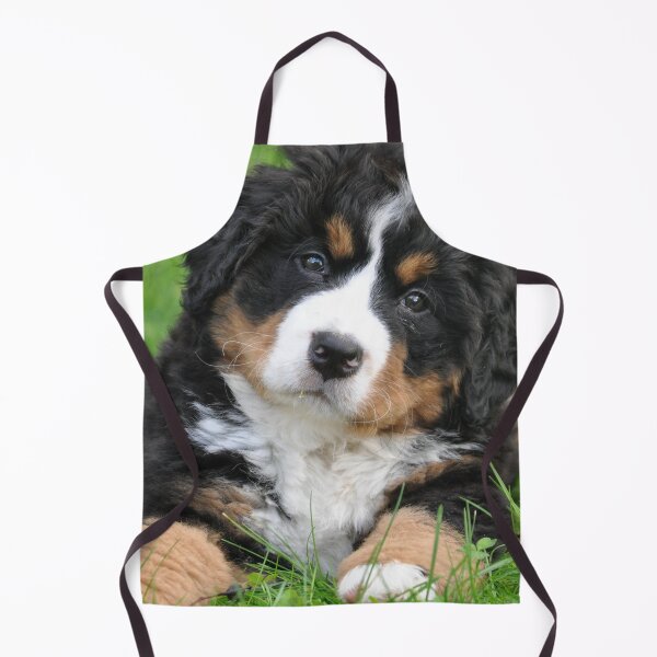 Item preview, Burnese Mountain Dogs For Dog Lovers As I Love My Bernese Dog - I Love My Bernese Dog designed and sold by lodarohit.