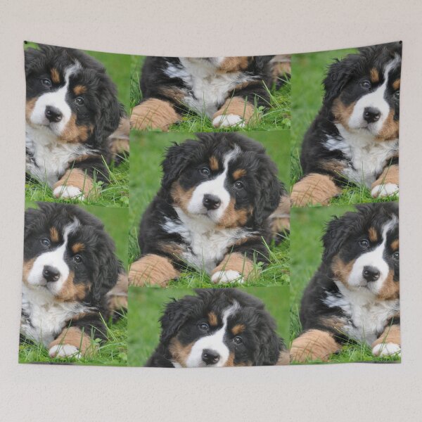 Item preview, Burnese Mountain Dogs For Dog Lovers As I Love My Bernese Dog - I Love My Bernese Dog designed and sold by lodarohit.