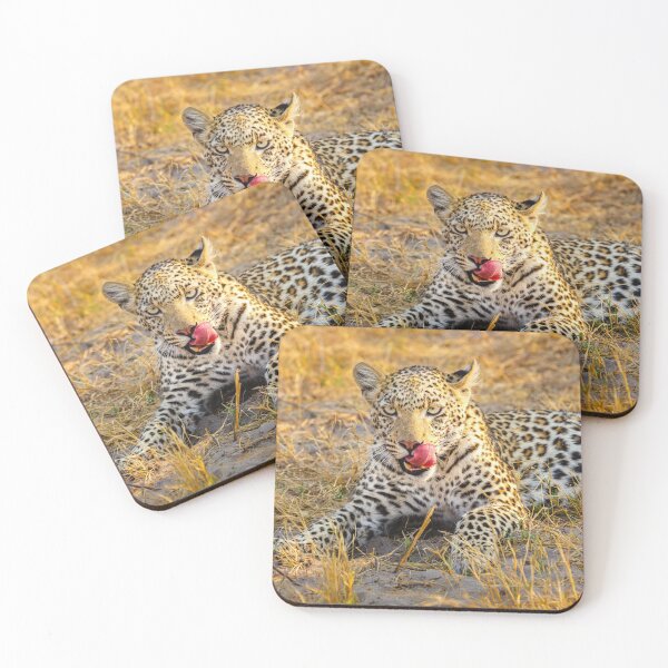 Item preview, Leopard (Panthera pardus) in the Okavango Delta designed and sold by Graham Prentice.