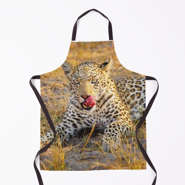 Item preview, Leopard (Panthera pardus) in the Okavango Delta designed and sold by Graham Prentice.
