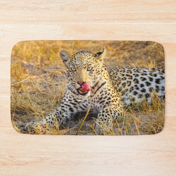 Item preview, Leopard (Panthera pardus) in the Okavango Delta designed and sold by Graham Prentice.